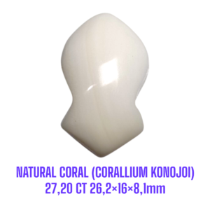 LOOSESTONE NATURAL CORAL MARJAN (CORALLIUM KONOJOI) 27,20 ct 26,2×16×8,1mm