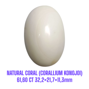 LOOSESTONE NATURAL CORAL MARJAN (CORALLIUM KONOJOI) 61,60 ct 32,2×21,7×11,3mm