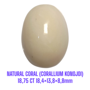 LOOSESTONE NATURAL CORAL MARJAN (CORALLIUM KONOJOI) 18,75 ct 18,4×13,8×8,8mm