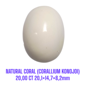 LOOSESTONE NATURAL CORAL MARJAN (CORALLIUM KONOJOI) 20,00 ct 20,1×14,7×8,2mm