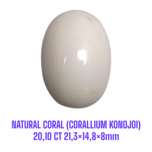 LOOSESTONE NATURAL CORAL MARJAN (CORALLIUM KONOJOI) 20,10 ct 21,3×14,8×8mm