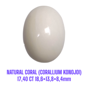 LOOSESTONE NATURAL CORAL MARJAN (CORALLIUM KONOJOI) 17,40 ct 18,6×13,8×8,4mm