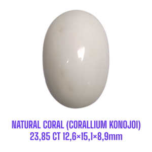 LOOSESTONE NATURAL CORAL MARJAN (CORALLIUM KONOJOI) 23,85 ct 12,6×15,1×8,9mm