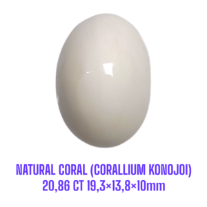 LOOSESTONE NATURAL CORAL MARJAN (CORALLIUM KONOJOI) 20,86 ct 19,3×13,8×10mm