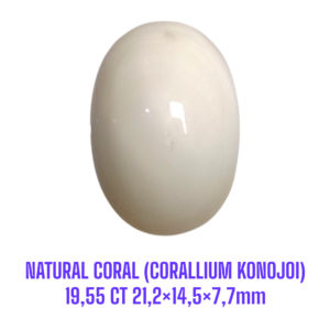 LOOSESTONE NATURAL CORAL MARJAN (CORALLIUM KONOJOI) 19,55 ct 21,2×14,5×7,7mm