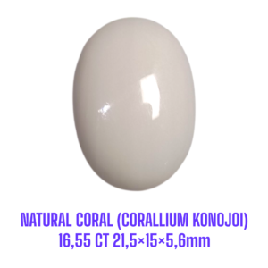 LOOSESTONE NATURAL CORAL MARJAN (CORALLIUM KONOJOI) 16,55 ct 21,5×15×5,6mm