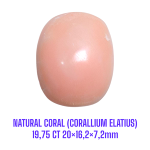LOOSESTONE NATURAL CORAL MARJAN (CORALLIUM ELATIUS) 19,75 ct 20×16,2×7,2mm