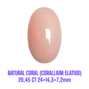 LOOSESTONE NATURAL CORAL MARJAN (CORALLIUM ELATIUS) 20,45 ct 24×14,3×7,2mm