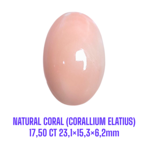 LOOSESTONE NATURAL CORAL MARJAN (CORALLIUM ELATIUS) 17,50 ct 23,1×15,3×6,2mm