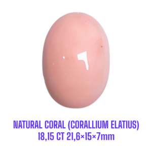 LOOSESTONE NATURAL CORAL MARJAN (CORALLIUM ELATIUS) 18,15 ct 21,6×15×7mm