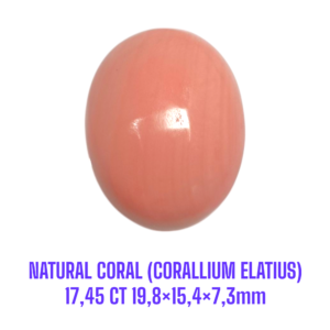 LOOSESTONE NATURAL CORAL MARJAN (CORALLIUM ELATIUS) 17,45 ct 19,8×15,4×7,3mm