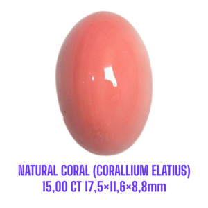 LOOSESTONE NATURAL CORAL MARJAN (CORALLIUM ELATIUS) 15,00 ct 17,5×11,6×8,8mm