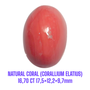 LOOSESTONE NATURAL CORAL MARJAN (CORALLIUM ELATIUS) 16,70 ct 17,5×12,2×9,7mm