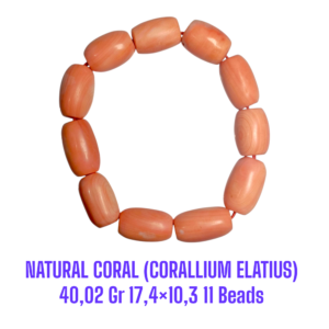 GELANG NATURAL CORAL MARJAN (CORALLIUM ELATIUS) 40,02 Gr 17,4×10,3 11 Beads