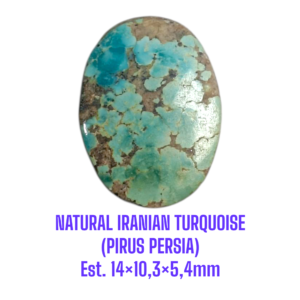 LOOSESTONE NATURAL IRANIAN TURQUOISE (PIRUS PERSIA) Est. 14×10,3×5,4mm