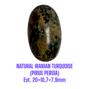 LOOSESTONE NATURAL IRANIAN TURQUOISE (PIRUS PERSIA) Est. 20×10,7×7,9mm