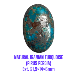 LOOSESTONE NATURAL IRANIAN TURQUOISE (PIRUS PERSIA) Est. 21,9×14×6mm