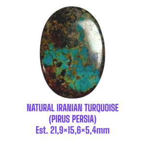 LOOSESTONE NATURAL IRANIAN TURQUOISE (PIRUS PERSIA) Est. 21,9×15,6×5,4mm