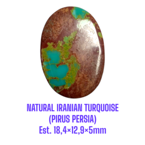 LOOSESTONE NATURAL IRANIAN TURQUOISE (PIRUS PERSIA) Est. 18,4×12,9×5mm