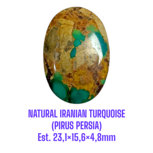 LOOSESTONE NATURAL IRANIAN TURQUOISE (PIRUS PERSIA) Est. 23,1×15,6×4,8mm