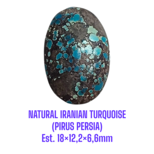 LOOSESTONE NATURAL IRANIAN TURQUOISE (PIRUS PERSIA) Est. 18×12,2×6,6mm