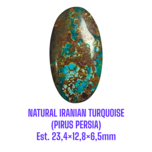 LOOSESTONE NATURAL IRANIAN TURQUOISE (PIRUS PERSIA) Est. 23,4×12,8×6,5mm