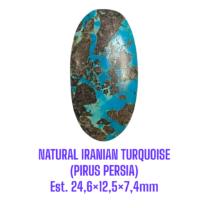 LOOSESTONE NATURAL IRANIAN TURQUOISE (PIRUS PERSIA) Est. 24,6×12,5×7,4mm