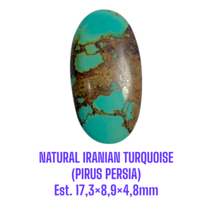 LOOSESTONE NATURAL IRANIAN TURQUOISE (PIRUS PERSIA) Est. 17,3×8,9×4,8mm