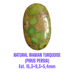 LOOSESTONE NATURAL IRANIAN TURQUOISE (PIRUS PERSIA) Est. 15,3×9,3×5,4mm