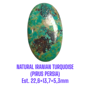 LOOSESTONE NATURAL IRANIAN TURQUOISE (PIRUS PERSIA) Est. 22,6×13,7×5,3mm