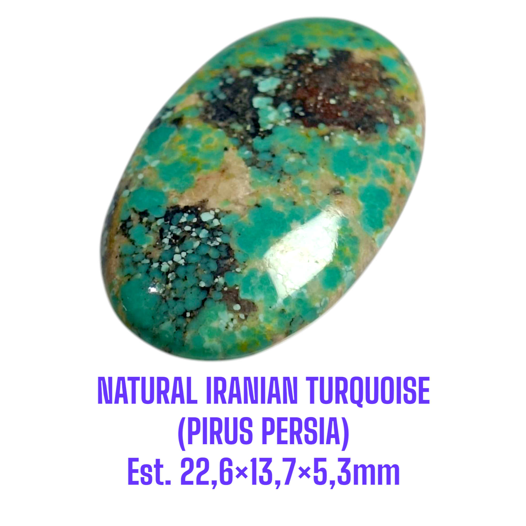 LOOSESTONE NATURAL IRANIAN TURQUOISE (PIRUS PERSIA) Est. 22,6×13,7×5,3mm - Gambar 3