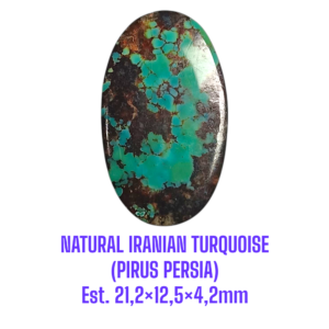 LOOSESTONE NATURAL IRANIAN TURQUOISE (PIRUS PERSIA) Est. 21,2×15,5×4,2mm