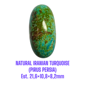 LOOSESTONE NATURAL IRANIAN TURQUOISE (PIRUS PERSIA) Est. 21,6×10,8×8,2mm