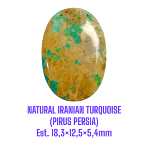 LOOSESTONE NATURAL IRANIAN TURQUOISE (PIRUS PERSIA) Est. 18,3×12,5×5,4mm