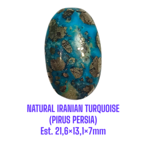 LOOSESTONE NATURAL IRANIAN TURQUOISE (PIRUS PERSIA) Est. 21,6×13,1×7mm