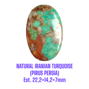 LOOSESTONE NATURAL IRANIAN TURQUOISE (PIRUS PERSIA) Est. 22,2×14,2×7mm