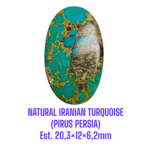 LOOSESTONE NATURAL IRANIAN TURQUOISE (PIRUS PERSIA) Est. 20,3×12×6,2mm