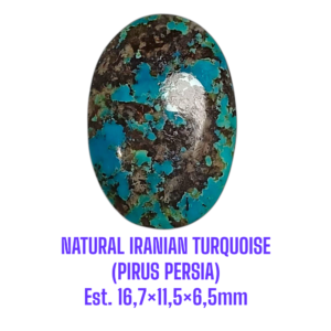 LOOSESTONE NATURAL IRANIAN TURQUOISE (PIRUS PERSIA) Est. 16,7×11,5×6,5mm