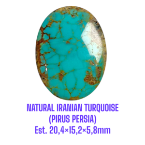 LOOSESTONE NATURAL IRANIAN TURQUOISE (PIRUS PERSIA) Est. 20,4×15,2×5,8mm