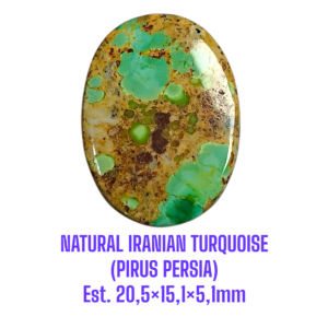 LOOSESTONE NATURAL IRANIAN TURQUOISE (PIRUS PERSIA) Est. 20,5×15,1×5,1mm