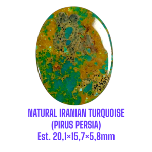 LOOSESTONE NATURAL IRANIAN TURQUOISE (PIRUS PERSIA) Est. 20,1×15,7×5,8mm