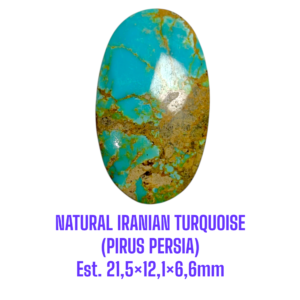 LOOSESTONE NATURAL IRANIAN TURQUOISE (PIRUS PERSIA) Est. 21,5×12,1×6,6mm
