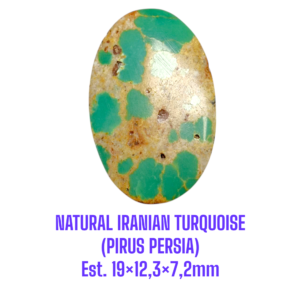 LOOSESTONE NATURAL IRANIAN TURQUOISE (PIRUS PERSIA) Est. 19×12,3×7,2mm