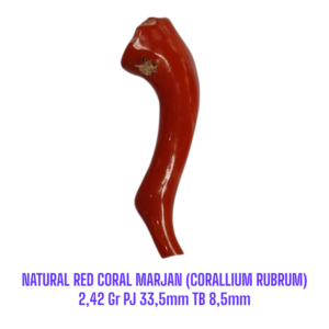 RANTING NATURAL RED CORAL MARJAN (CORALLIUM RUBRUM) 2,42 Gr PJ 33,5mm TB 8,5mm