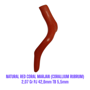 RANTING NATURAL RED CORAL MARJAN (CORALLIUM RUBRUM) 2,07 Gr PJ 42,6mm TB 5,5mm