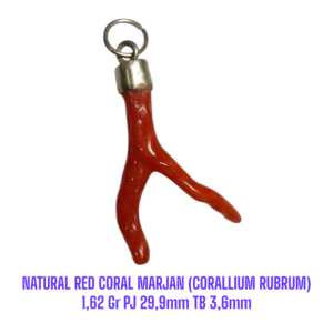 LIONTIN PERAK RANTING NATURAL RED CORAL MARJAN (CORALLIUM RUBRUM) 1,62 Gr PJ 29,9mm TB 3,6mm
