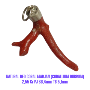 LIONTIN PERAK RANTING NATURAL RED CORAL MARJAN (CORALLIUM RUBRUM) 2,55 Gr PJ 36,4mm TB 5,1mm