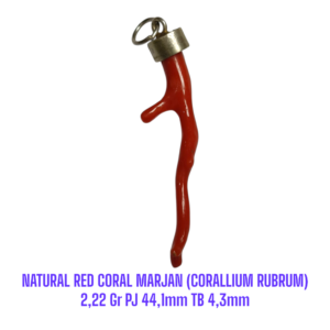 LIONTIN PERAK RANTING NATURAL RED CORAL MARJAN (CORALLIUM RUBRUM) 2,22 Gr PJ 44,1mm TB 4,3mm