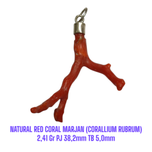 LIONTIN PERAK RANTING NATURAL RED CORAL MARJAN (CORALLIUM RUBRUM) 2,41 Gr PJ 38,2mm TB 5,0mm