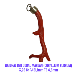 LIONTIN PERAK RANTING NATURAL RED CORAL MARJAN (CORALLIUM RUBRUM) 3,28 Gr PJ 51,1mm TB 4,5mm